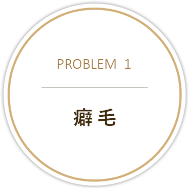 PROBLEM01 癖毛