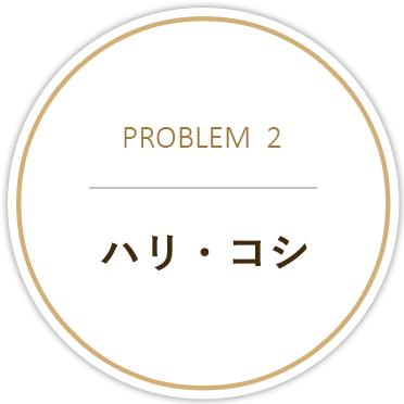 PROBLEM02 ハリ・コシ
