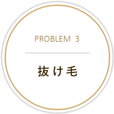 PROBLEM03 抜け毛